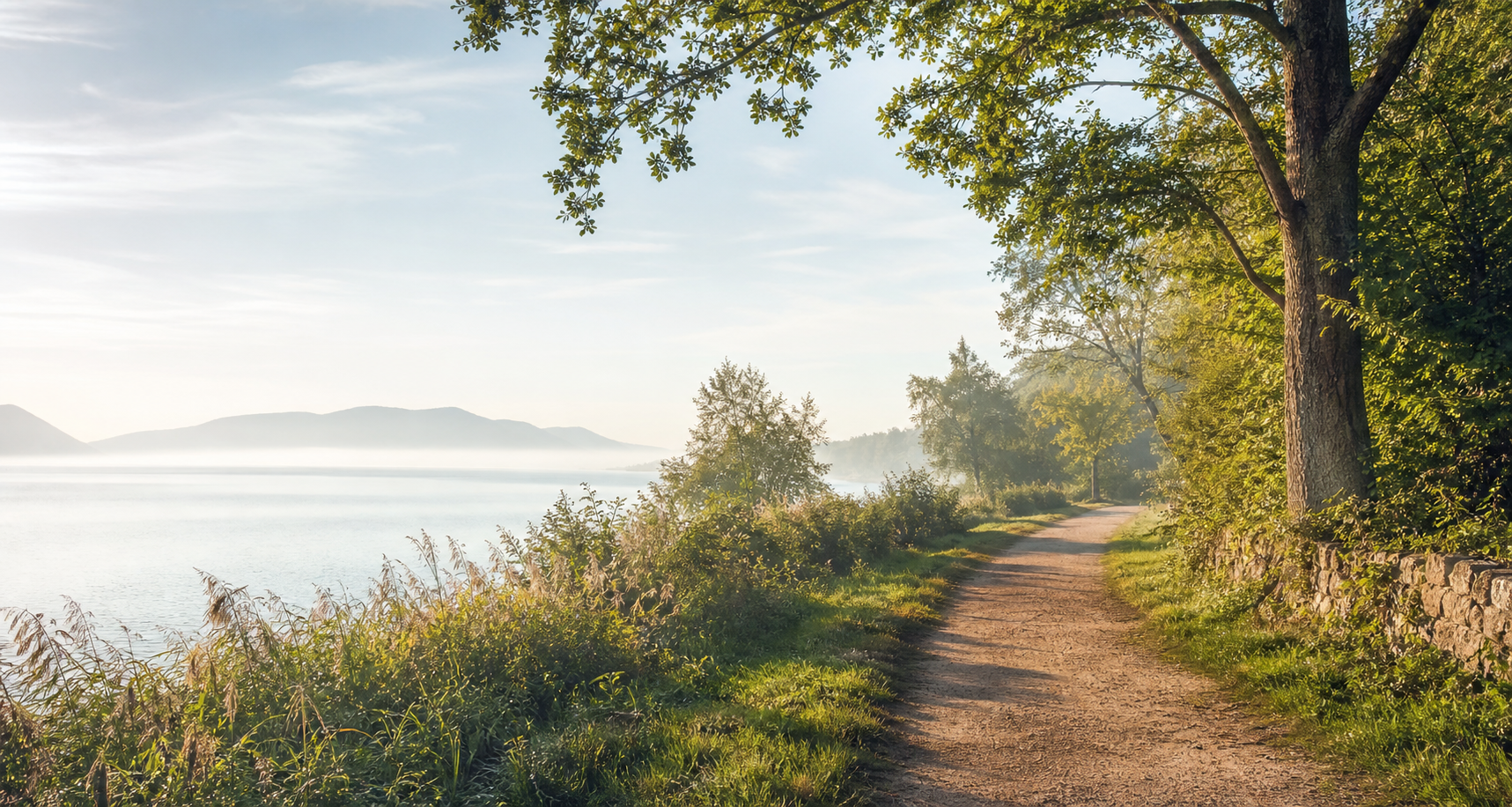 A quiet tree-lined path beside calm water in soft daylight